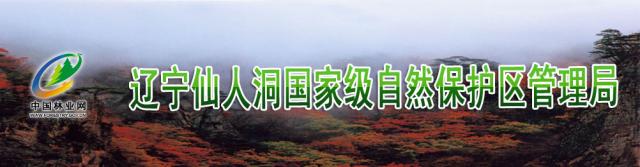 雷竞技raybet官方平台