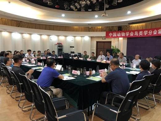 雷竞技raybet官方平台