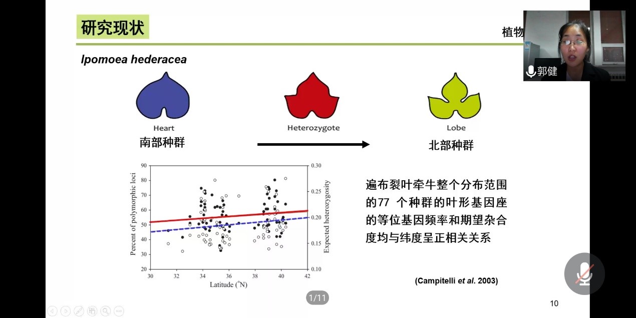 雷竞技raybet官方平台