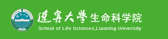 雷竞技raybet官方平台